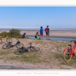 Saison : été - Lieu : Le Hourdel, Baie de Somme, Somme, Hauts-de-France, France.