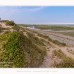 Saison : été - Lieu : Le Hourdel, Baie de Somme, Somme, Hauts-de-France, France.