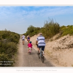 Saison : été - Lieu : Le Hourdel, Baie de Somme, Somme, Hauts-de-France, France.