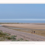 Saison : été - Lieu : Le Hourdel, Baie de Somme, Somme, Hauts-de-France, France.