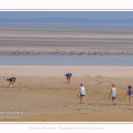 Saison : été - Lieu : Le Hourdel, Baie de Somme, Somme, Hauts-de-France, France.