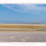 Saison : été - Lieu : Le Hourdel, Baie de Somme, Somme, Hauts-de-France, France.