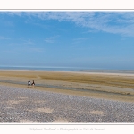 Saison : été - Lieu : Le Hourdel, Baie de Somme, Somme, Hauts-de-France, France.