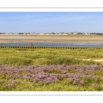 Le Cap Hornu et les lilas de mer