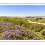 Le Cap Hornu et les lilas de mer