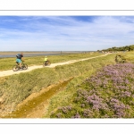 Le Cap Hornu et les lilas de mer