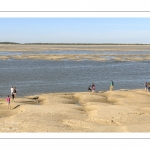 Les phoques sur les bancs de sable au Hourdel