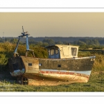 vieux chaluttier abandonné dans le port du Hourdel