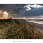 Promenade entre deux orages dans la baie de Somme entre Le Hourdel et Cayeux-sur-mer. Saison : Automne - Lieu : Le Hourdel, Baie de Somme, Somme, Picardie, France