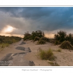 Promenade entre deux orages dans la baie de Somme le long de l'ancienne route ensablÃ©e entre Le Hourdel et Cayeux-sur-mer. Saison : Automne - Lieu : Le Hourdel, Baie de Somme, Somme, Picardie, France