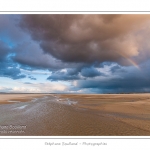 Promenade entre deux orages dans la baie de Somme Ã  marÃ©e basse en suivant un des ruisseaux qui parcourrent la baie entre Le Hourdel et Cayeux-sur-mer. Saison : Automne - Lieu : Le Hourdel, Baie de Somme, Somme, Picardie, France