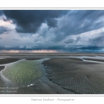 Promenade entre deux orages au crÃ©puscule dans la baie de Somme Ã  marÃ©e basse en suivant un des ruisseaux qui parcourrent la baie entre Le Hourdel et Cayeux-sur-mer. Saison : Automne - Lieu : Le Hourdel, Baie de Somme, Somme, Picardie, France