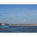Retour des pêcheurs au port du Hourdel