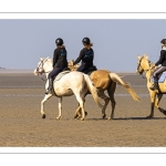 Entraînement de chevaux en baie de Somme