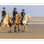 Entraînement de chevaux en baie de Somme