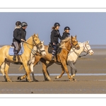 Entraînement de chevaux en baie de Somme