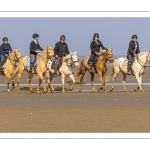 Entraînement de chevaux en baie de Somme