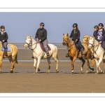 Entraînement de chevaux en baie de Somme