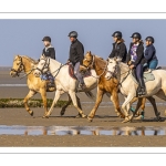 Entraînement de chevaux en baie de Somme