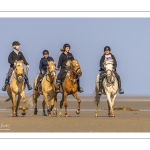 Entraînement de chevaux en baie de Somme