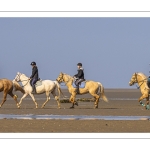 Entraînement de chevaux en baie de Somme