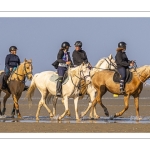 Entraînement de chevaux en baie de Somme