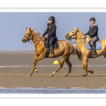 Entraînement de chevaux en baie de Somme