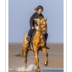 Entraînement de chevaux en baie de Somme