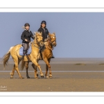 Entraînement de chevaux en baie de Somme