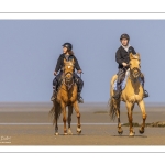 Entraînement de chevaux en baie de Somme