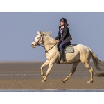 Entraînement de chevaux en baie de Somme