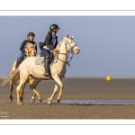 Entraînement de chevaux en baie de Somme