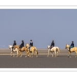 Entraînement de chevaux en baie de Somme