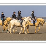 Entraînement de chevaux en baie de Somme