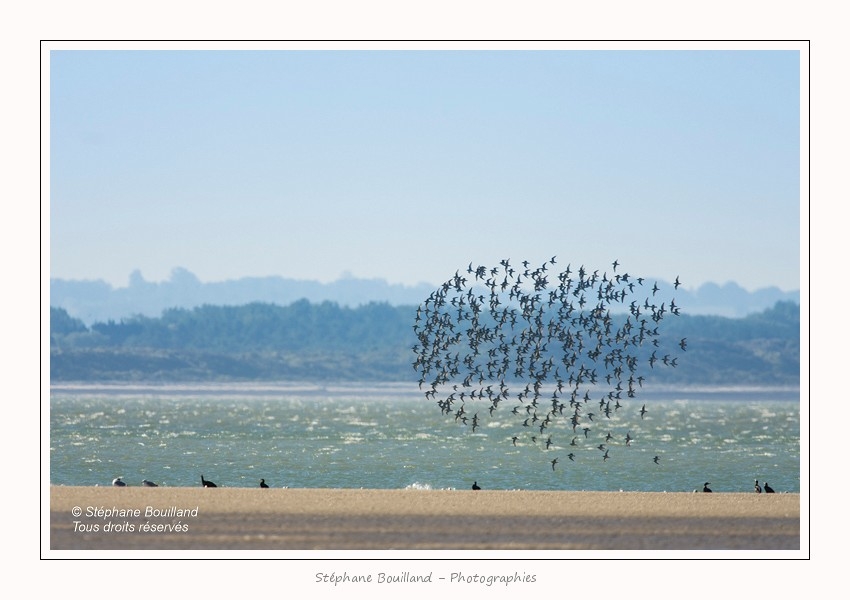 Banc_Illette_29_09_2015_003-border