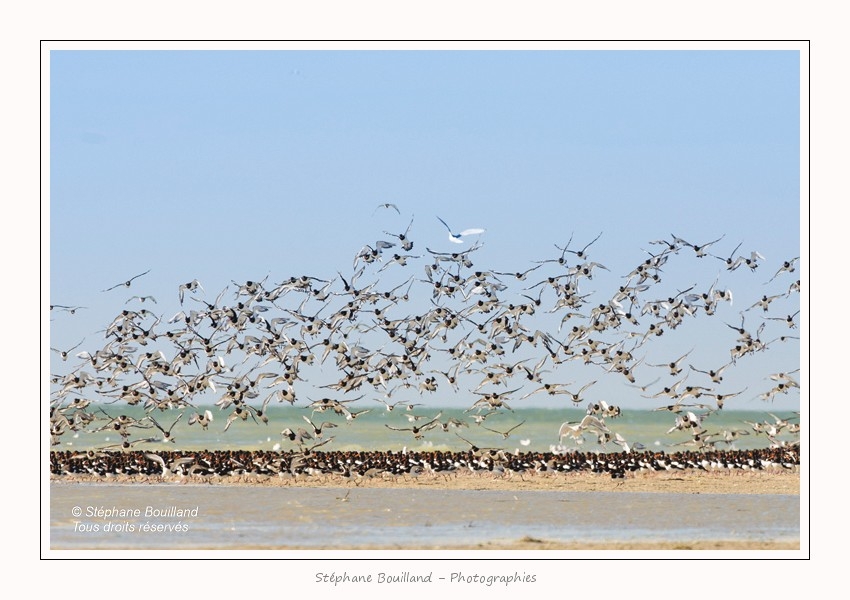 Banc_Illette_29_09_2015_016-border