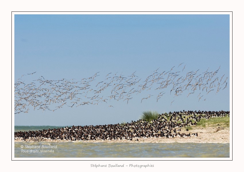 Banc_Illette_29_09_2015_052-border