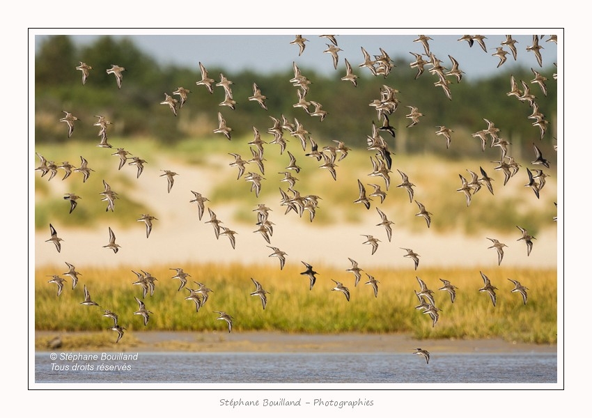 Banc_Illette_29_09_2015_067-border
