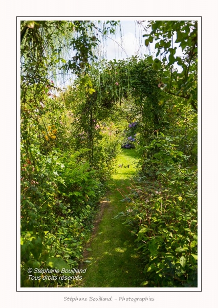 Les_jardins_des_lianes_0076-border