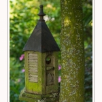 Les_jardins_des_lianes_0011-border