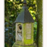 Les_jardins_des_lianes_0013-border