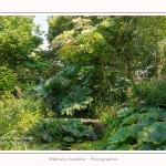 Les_jardins_des_lianes_0025-border