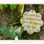 Les_jardins_des_lianes_0028-border
