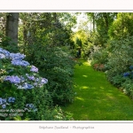 Les_jardins_des_lianes_0030-border