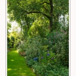 Les_jardins_des_lianes_0031-border