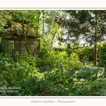 Les_jardins_des_lianes_0032-border