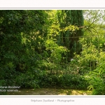 Les_jardins_des_lianes_0043-border