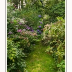 Les_jardins_des_lianes_0053-border
