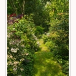 Les_jardins_des_lianes_0055-border