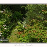 Les_jardins_des_lianes_0056-border